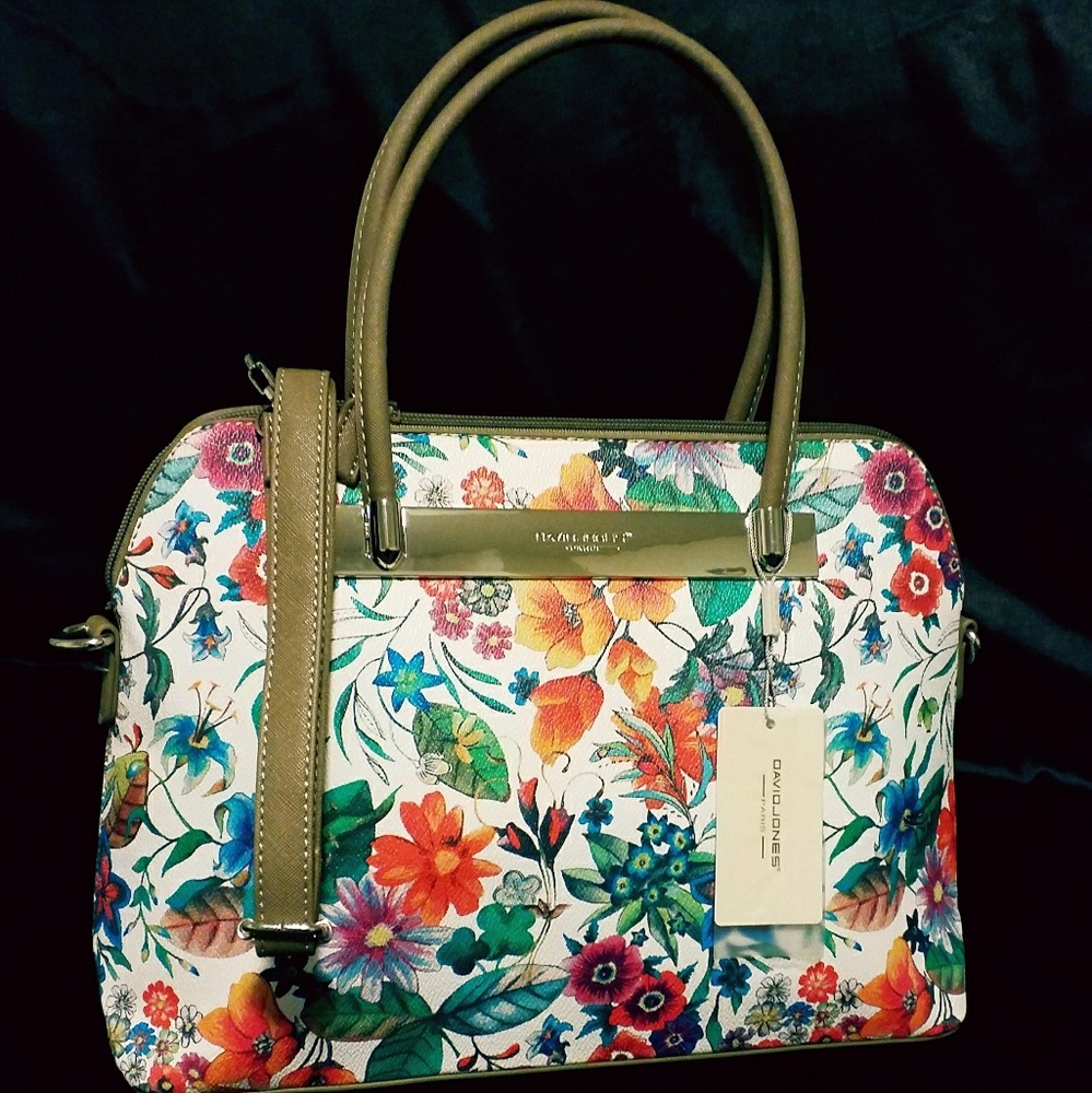 David Jones Purse